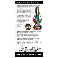 Large Rainbow Metal Butt Plug