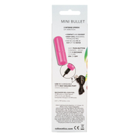 Tiny Teasers Mini Bullet Vibrator