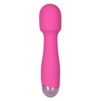 Mini Miracle Wand Massager