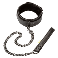 Premium Collar & Leash