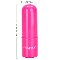 Tiny Teasers Mini Bullet Vibrator