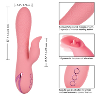 5" Pasadena Player Rabbit Vibrator