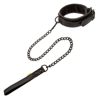 Premium Collar & Leash