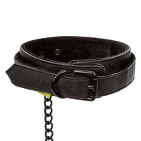 Premium Collar & Leash