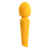 Sunshine Wand Massager