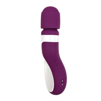 Handle It Wand Massager