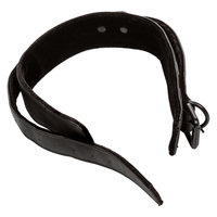 Premium Collar & Leash