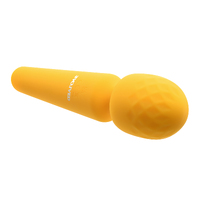 Sunshine Wand Massager