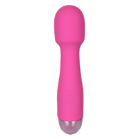 Mini Miracle Wand Massager