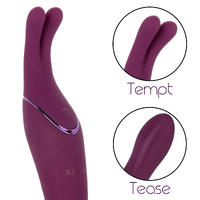 Tempt & Tease Sass