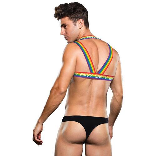 Rainbow Harness LXL