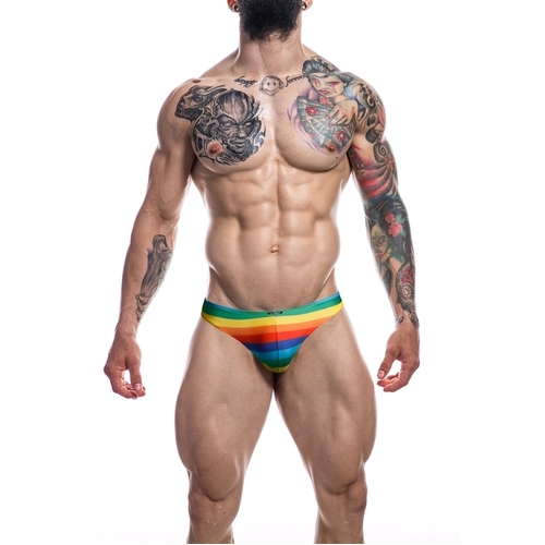 Low Rise Bikini Brief- rainbow-L