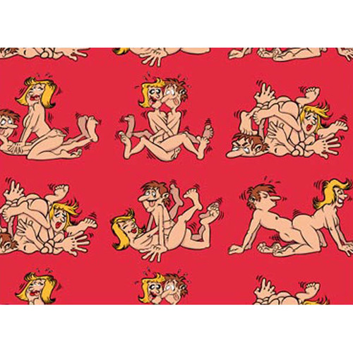 Gift Wrap - Couples Banging Novelty Gift Wrap - 2 Sheets