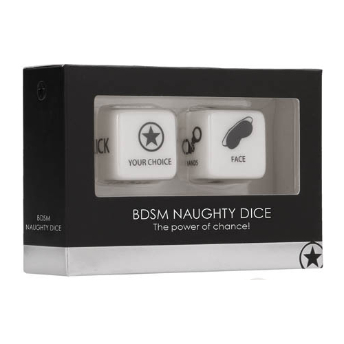 BDSM Naughty Dice Game